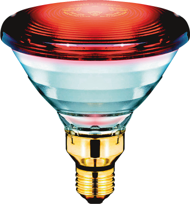 Philips Infrarotlampe 150W Par 38 *LIM*240V E27
